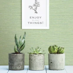 3117-24284 Agave Green Faux Grasscloth Wallpaper