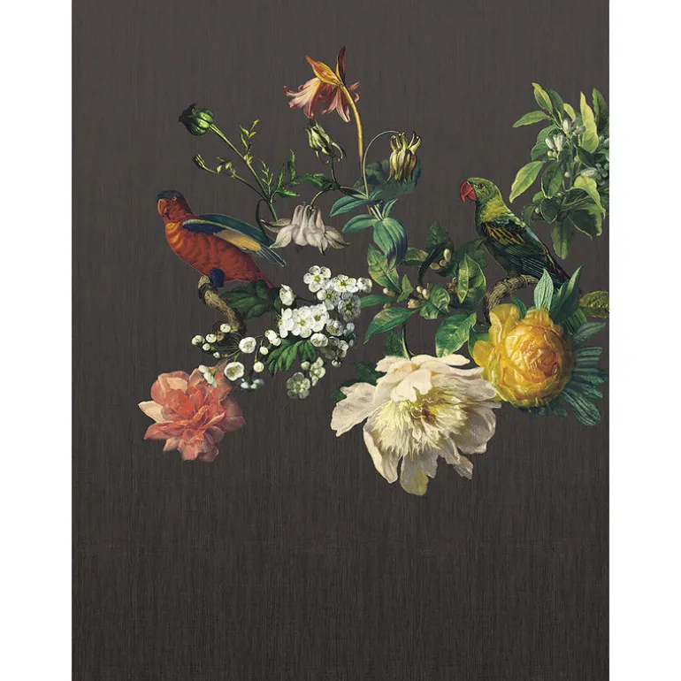 307400 Big Birds Black Wall Mural