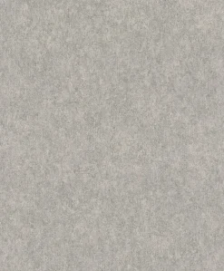 4035-617191 Genki Grey Distressed Wallpaper