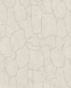 300530 Kordofan Bone Giraffe Wallpaper