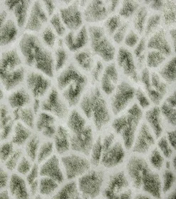 2871-88709 Montone Grey Giraffe Wallpaper
