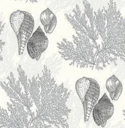 2927-81200 Nauset Black Seashell Shores Wallpaper