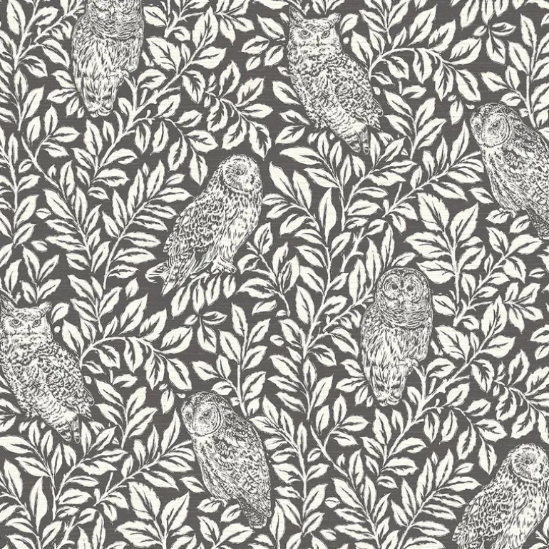 3123-12415 Parliament Charcoal Owl Wallpaper