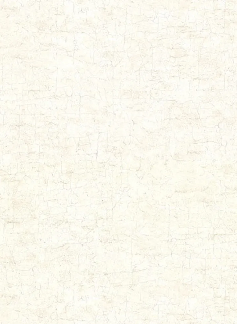 2921-51117 Pembroke Cream Faux Plaster Wallpaper