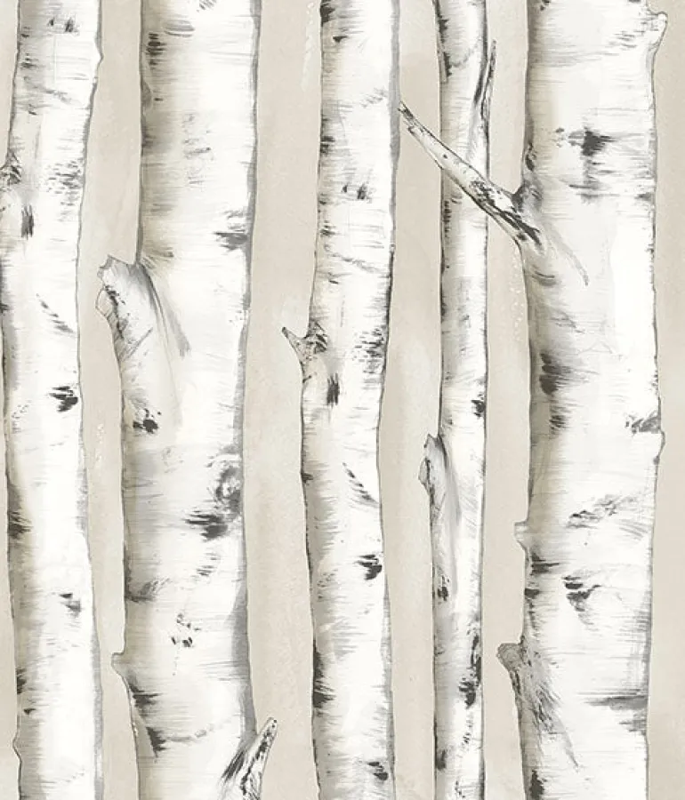 3118-12601 Pioneer Off-White Birch Tree Wallpaper