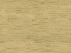 4018-0021 Shan Light Green Grasscloth Wallpaper