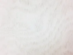 160 Sheers 42 Europatex Fabric