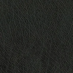 Abilene 9009 Black Fabric