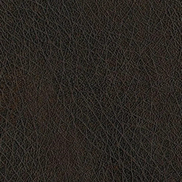 Abilene 8006 Walnut Fabric