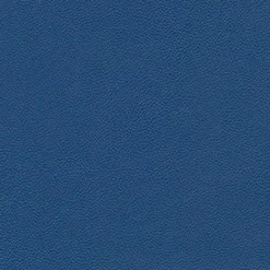 Allsport 3006 Royal Blue Fabric
