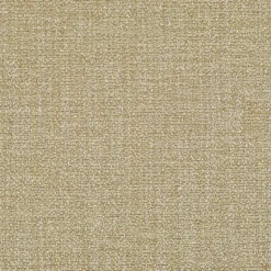 Appeal Ale P Kaufmann Fabric