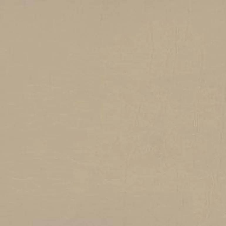 Aries 1604 Sand Dollar 54" Fabric