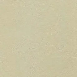 Armada 102 Biscay Ivory Fabric