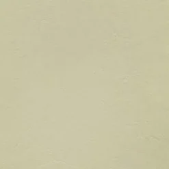 Armada 117 Sand Dollar Fabric