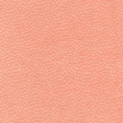 Arno Coral Regal Fabric