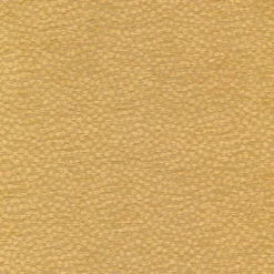 Arno Saffron Regal Fabric