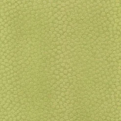 Ashby Apple Regal Fabric