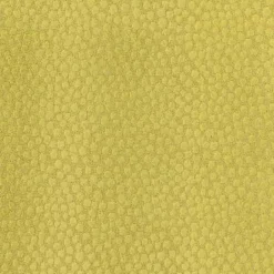 Ashby Citron Regal Fabric