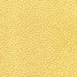 Ashby Sun Regal Fabric