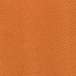 Ashby Tangerine Regal Fabric