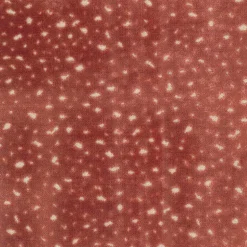 Aubrie Carnation Regal Fabric