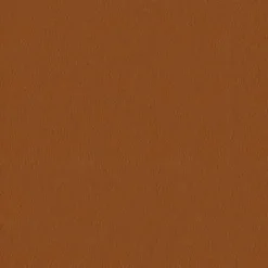 Avalon 528579 Pumpkin Fabric