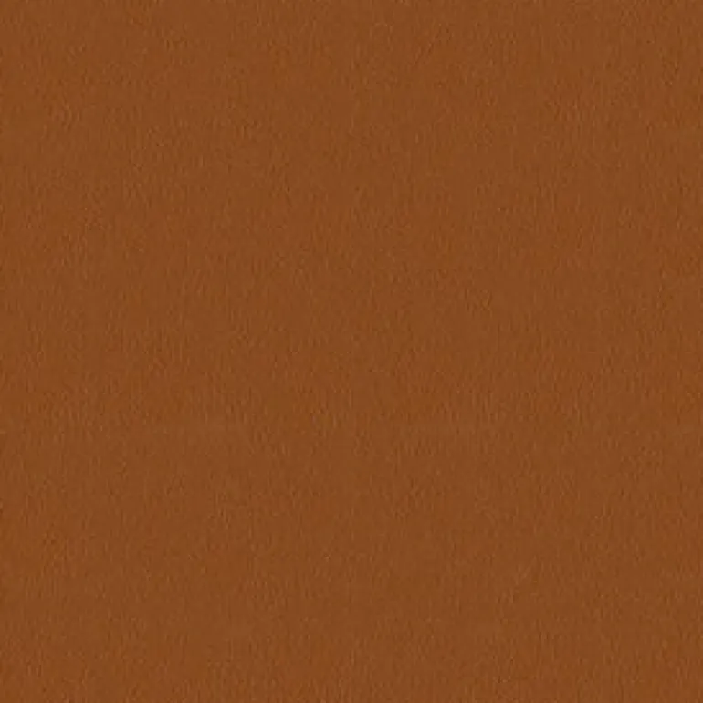 Avalon 528579 Pumpkin Fabric