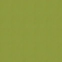 Avalon 528608 Sprout Fabric
