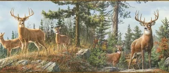 3118-48463B Whitetail Crest Multicolor Forest Border
