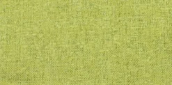 Badlands Fern Crypton Fabric