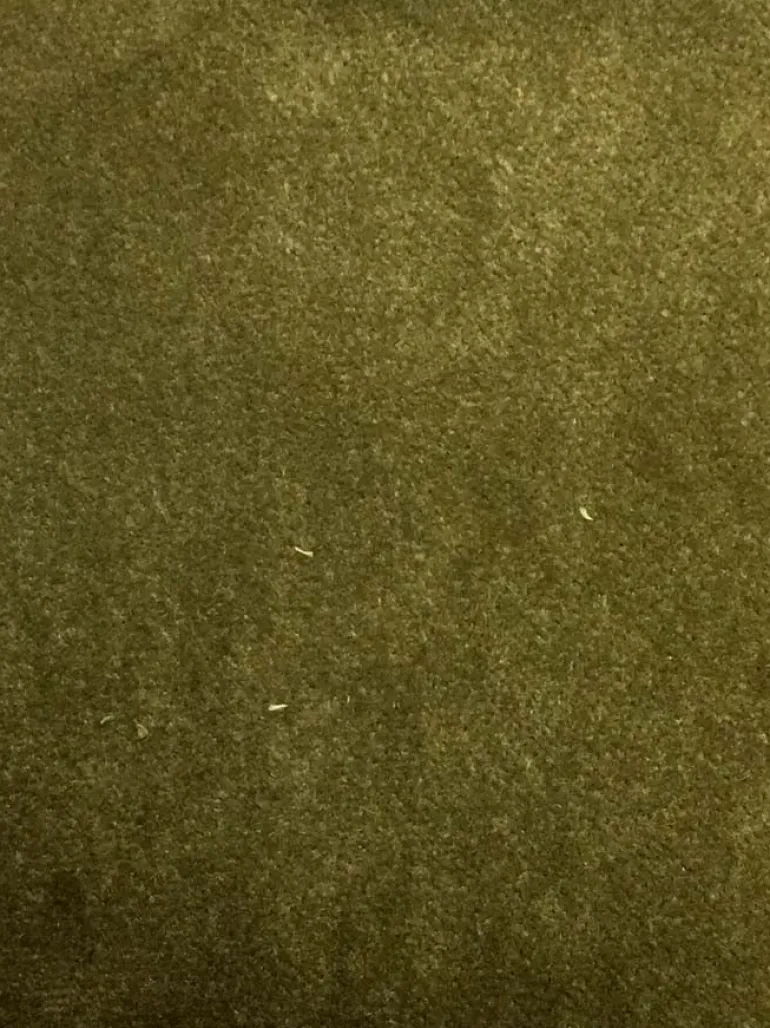 Banks Olive Valdese Fabric