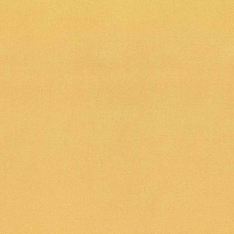 Bayou Sunshine Regal Fabric