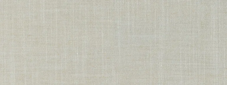 Belfast Backed 117 Shell Covington Fabric
