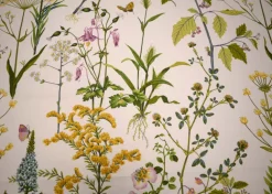 Berkshire Meadow Honeydew P Kaufmann Fabric