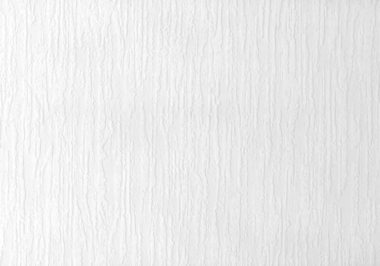 Berz Paintable Plaster Texture Wallpaper