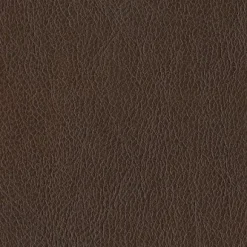 Cantina Cocoa Culp Fabric