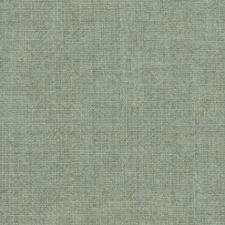 Cassidy 389 Cactus P Kaufmann Fabric