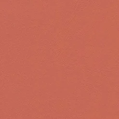 Chamea II 28 Melon Fabric
