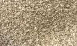 Chasnel Oat Crypton Home Fabric