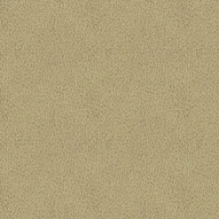 Claro 6003 Beige Fabric