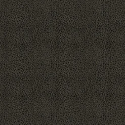 Claro 909 Charcoal Fabric