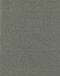 COD0532N Blacks Sweet Birch Wallpaper