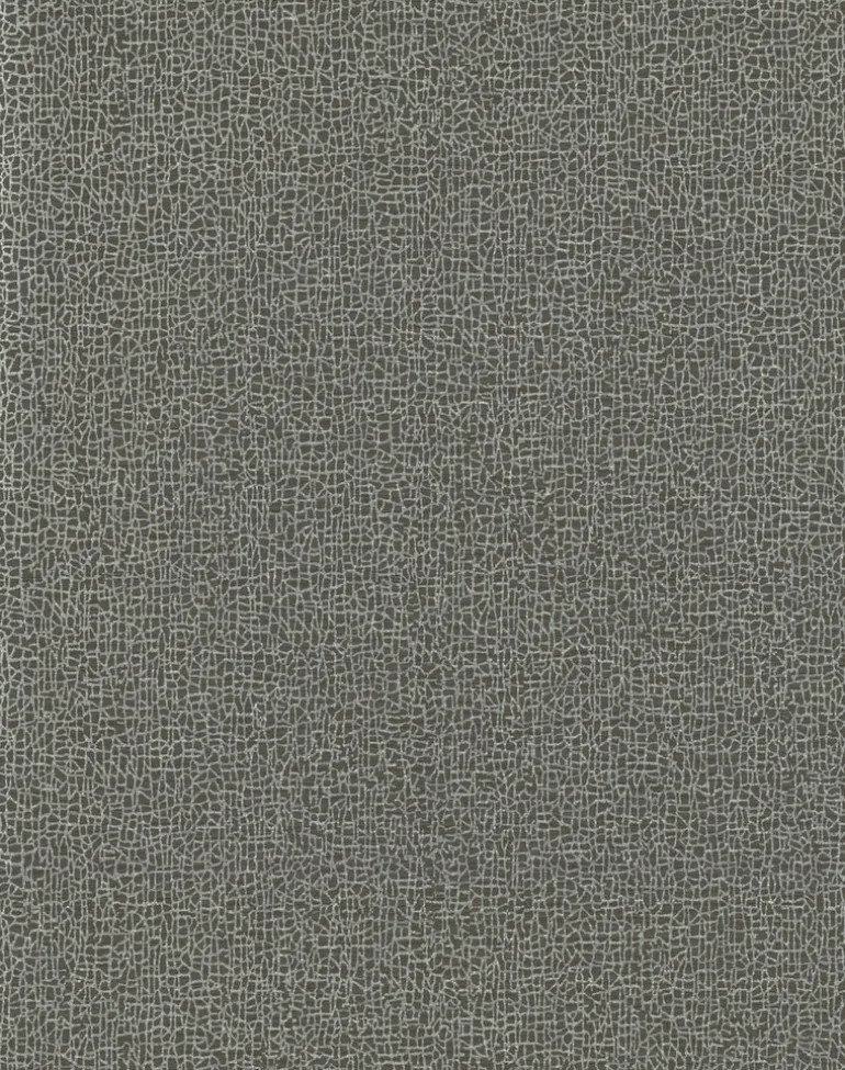 COD0532N Blacks Sweet Birch Wallpaper