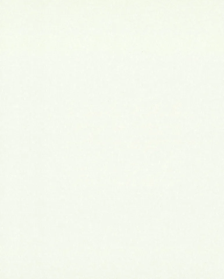 COD0502N White/Off Whites Honey Bee Wallpaper