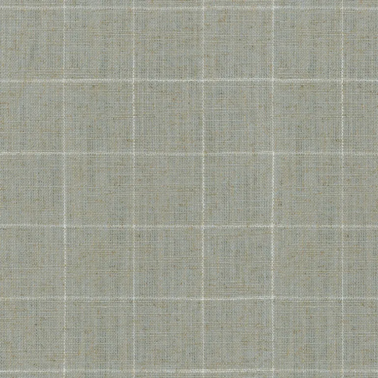 Concord Pane 408504 Mist Performance+ Fabric