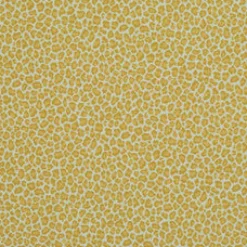 Cubby Maize P Kaufmann Fabric