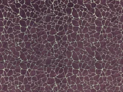 Dare 427 Heather Moon Covington Fabric