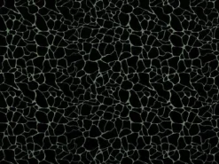 Dare 947 Noir Covington Fabric
