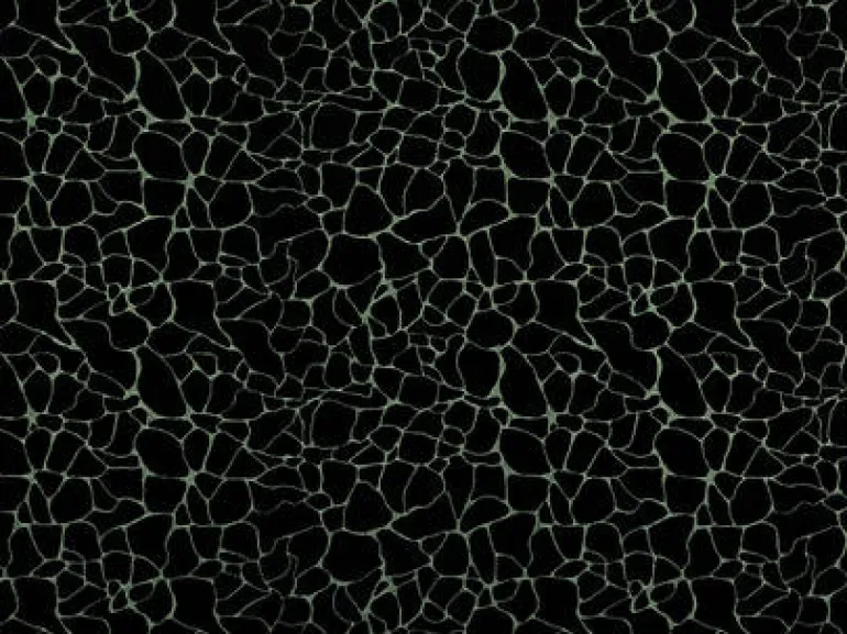 Dare 947 Noir Covington Fabric