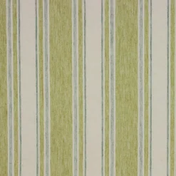 Daumont Fennel Richloom Fabric